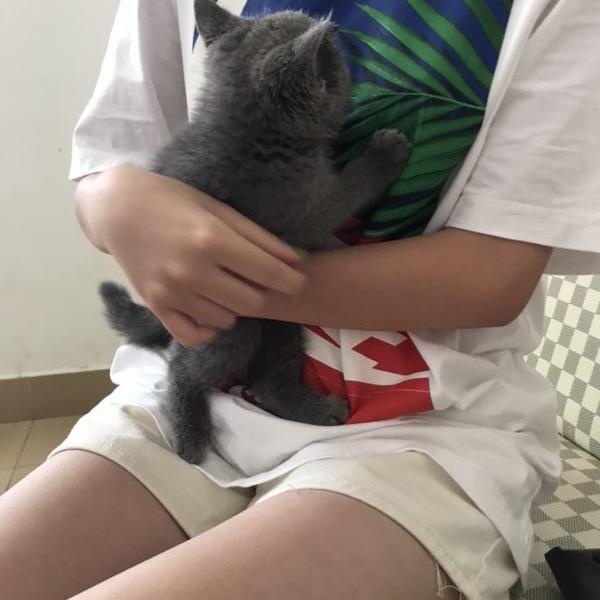 琳琳魚