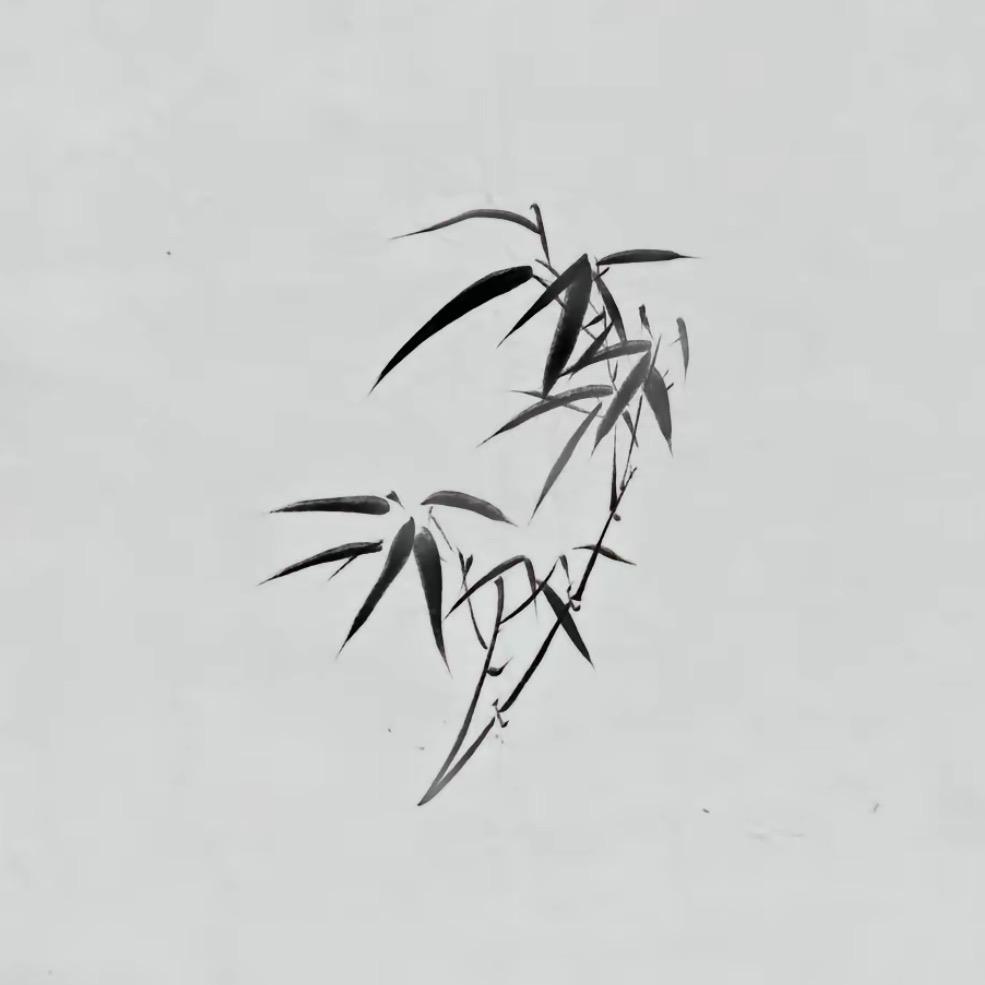 了了清秋