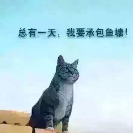ᥫᩣ𓂃𓂂𓈒𓏸一介俗人