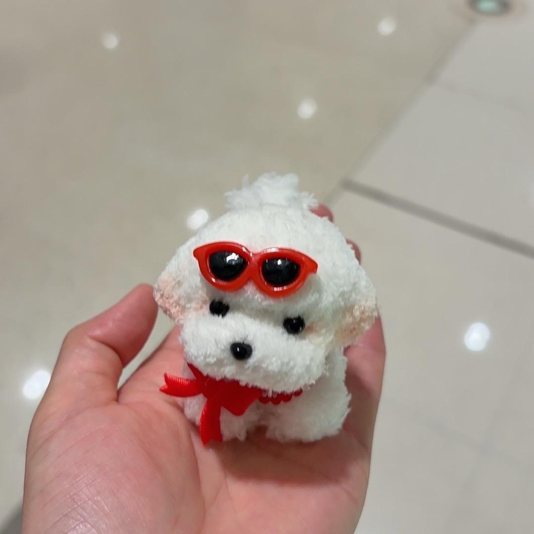 今日无忧🦭🦭