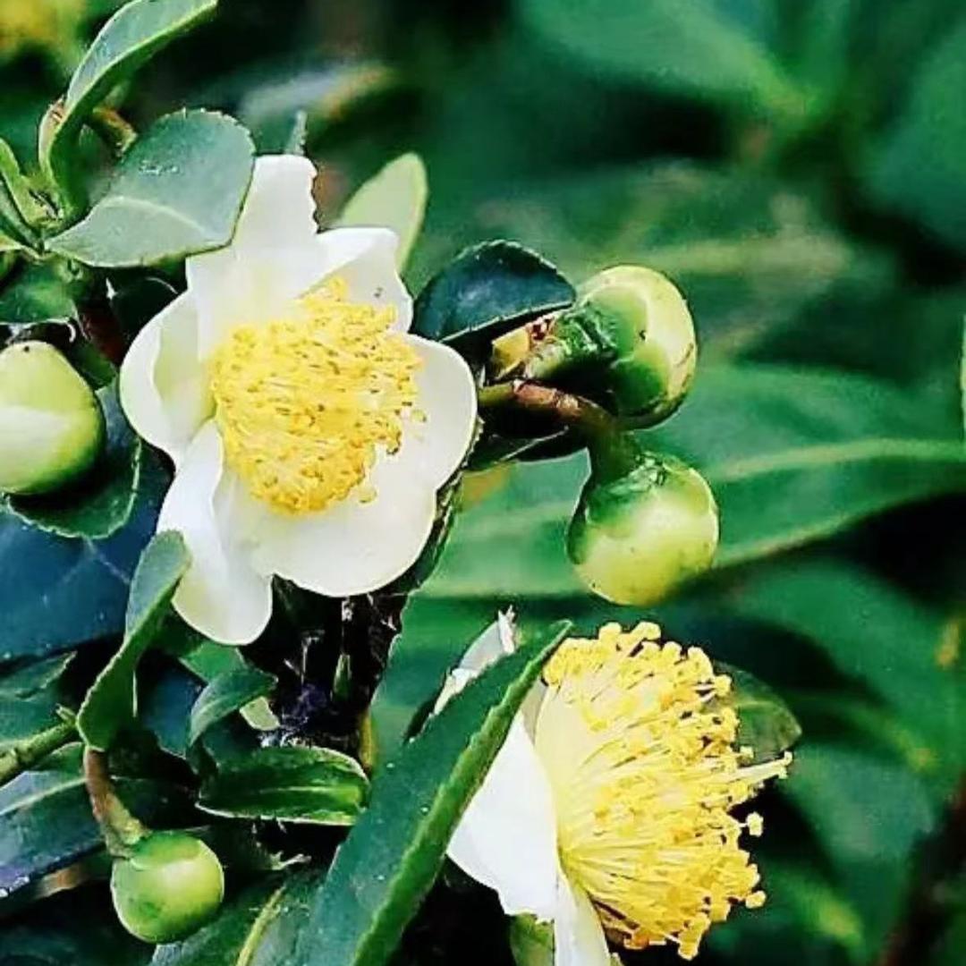 钱多多好物优选