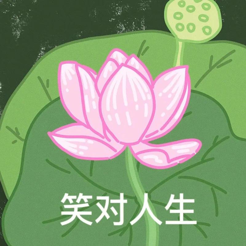 星途星纪元🐎