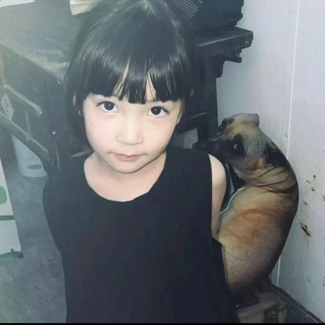 琪哥今天穿什么