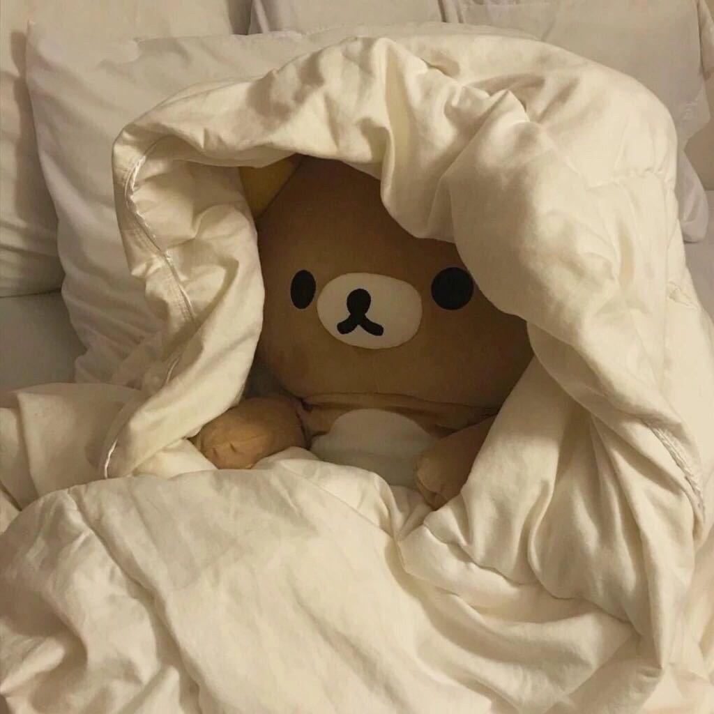 松塔里面有什么