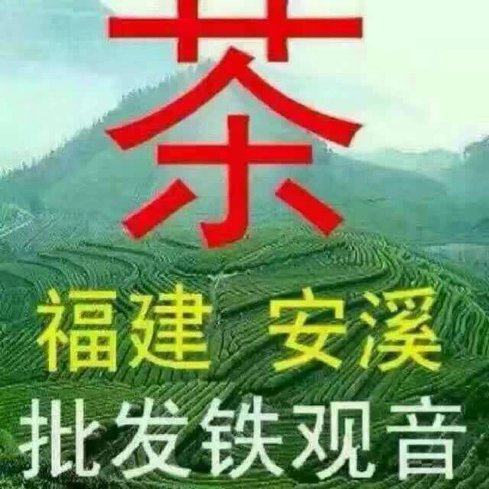 高山茶小陈acw6888