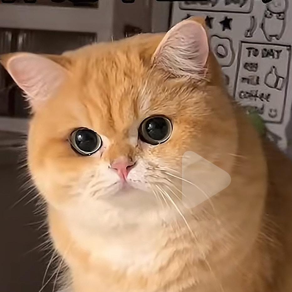 可乐—