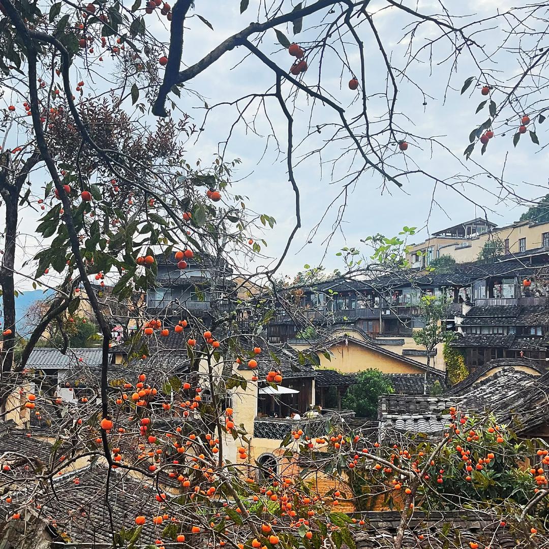陈老师学堂