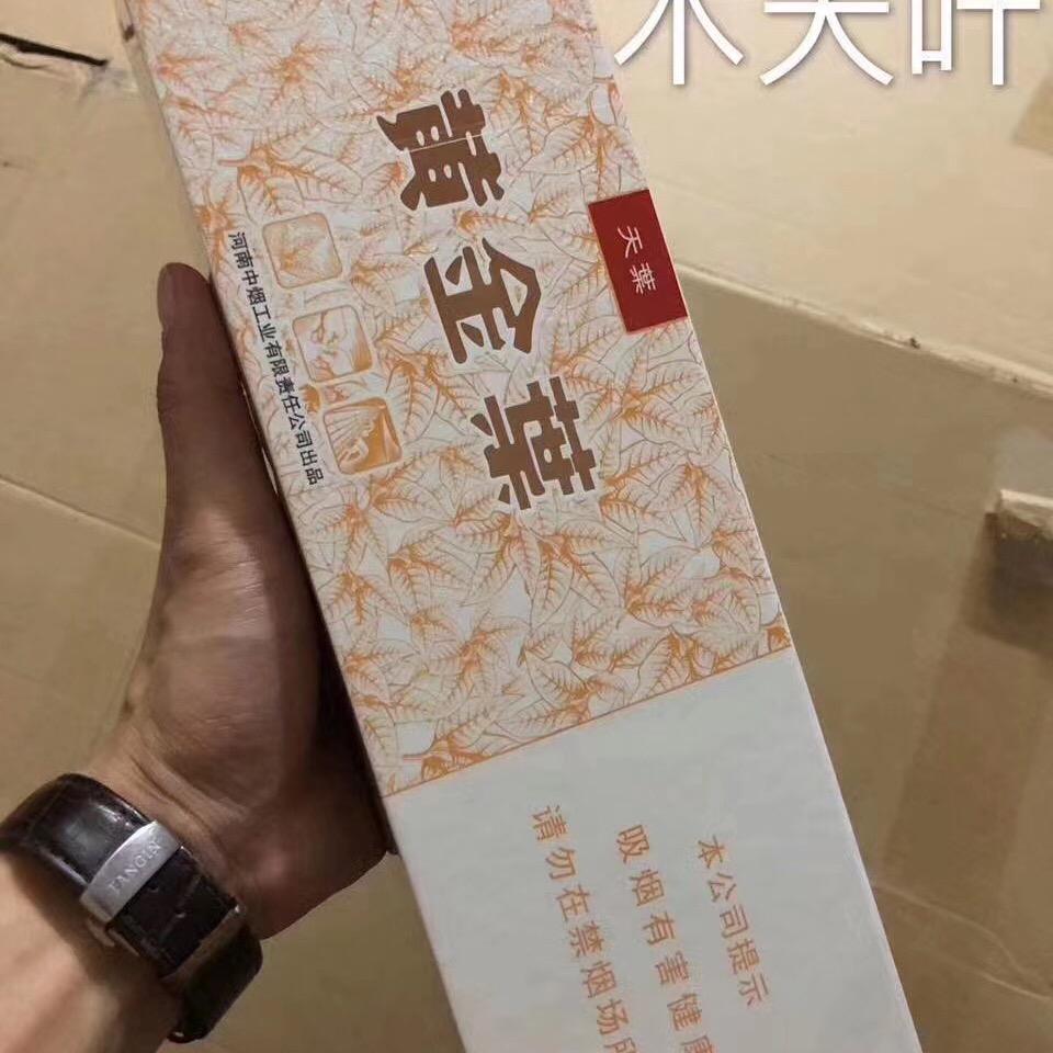 燕十三