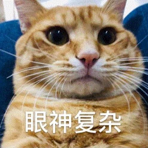 影密儿🍡