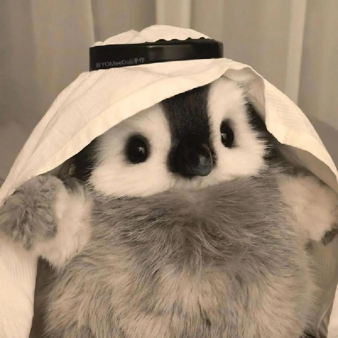 九点半丶