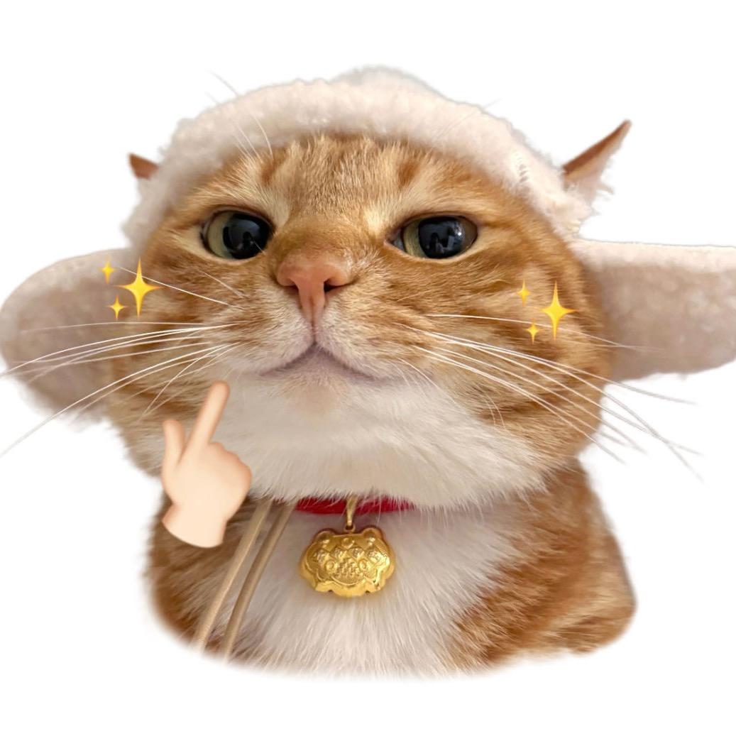 不缺猫条💫（贴贴版