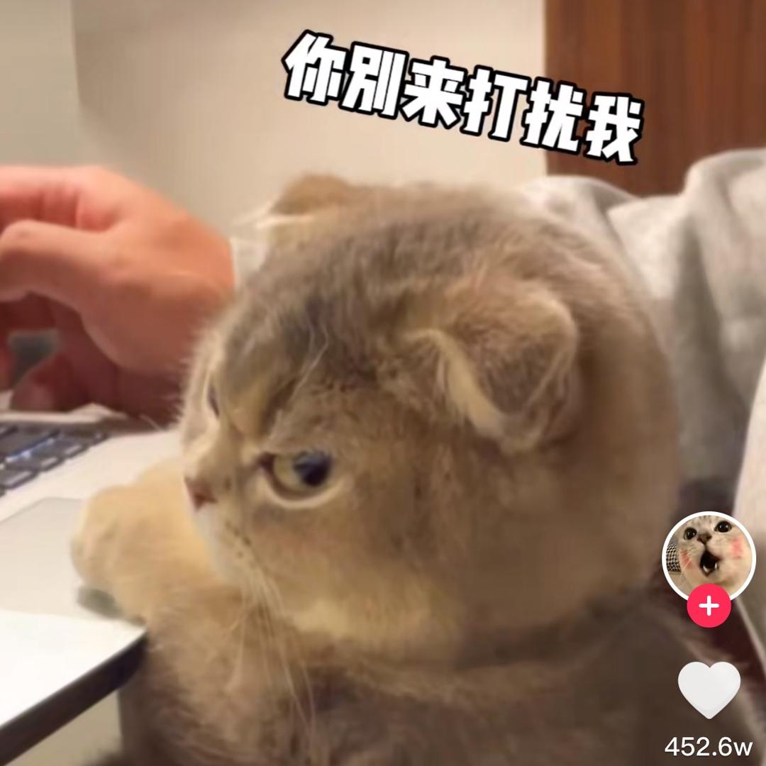 黑白