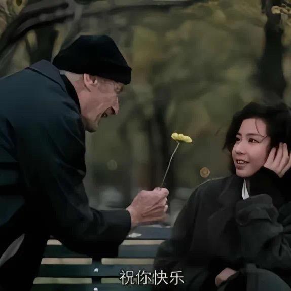 我来人间凑个数