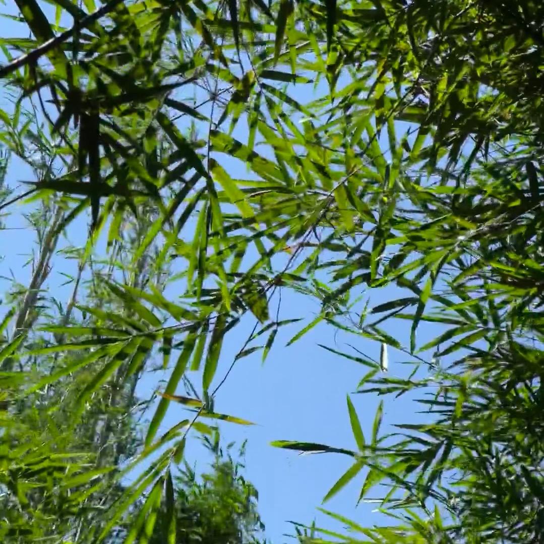幸福