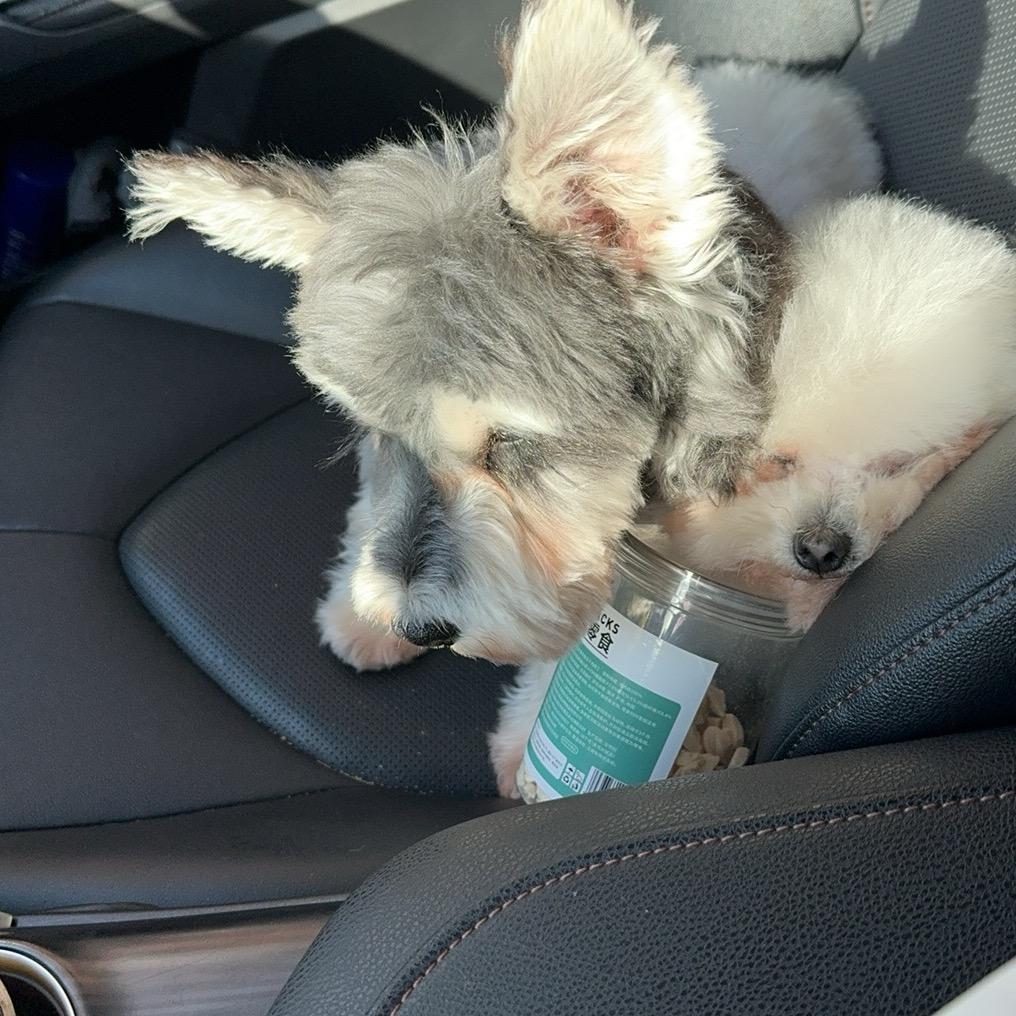 爱牧宠物（矿工路店）