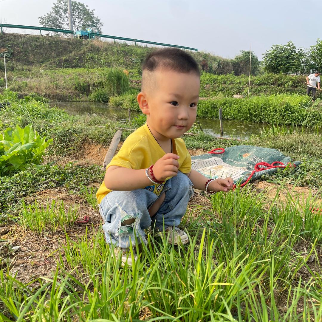 袁小老板