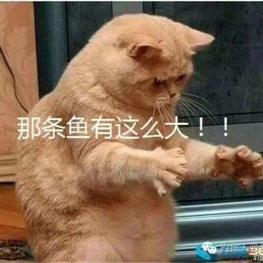 易飞通讯