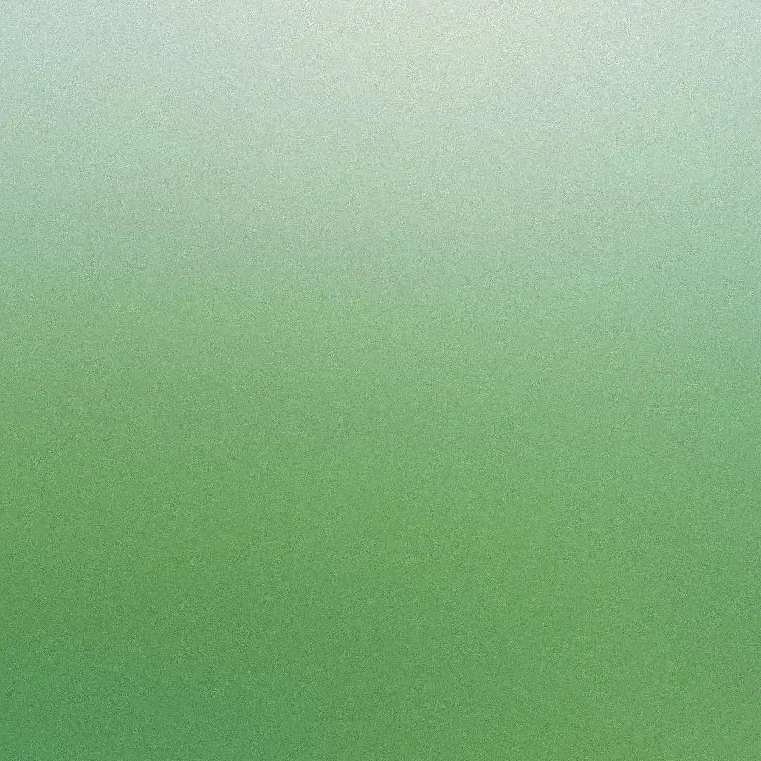 晚星泡饭🪁