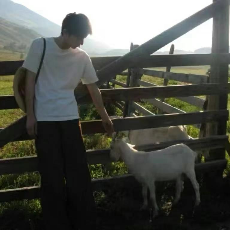 她说我是帅气男孩.