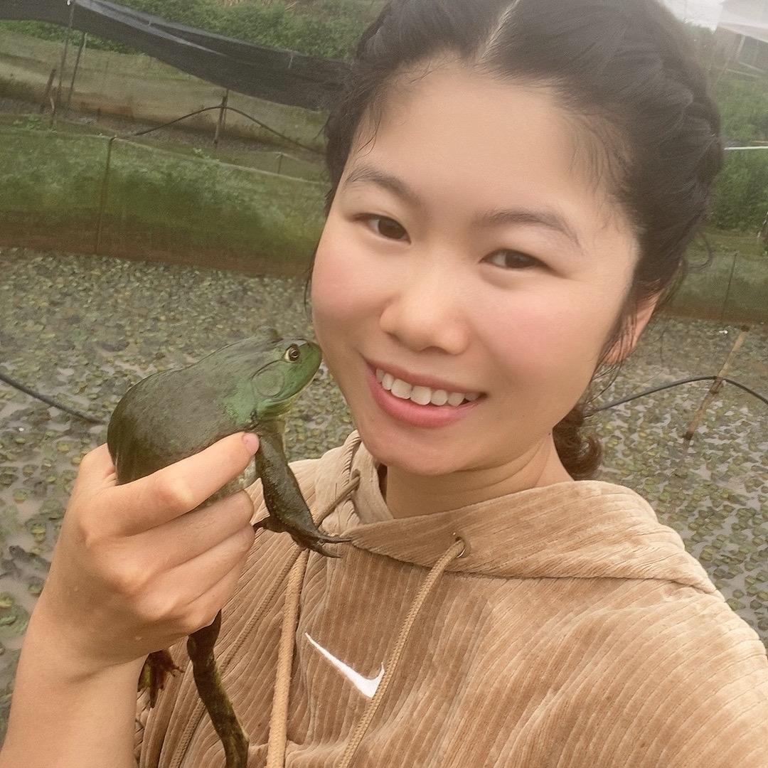 回村养蛙