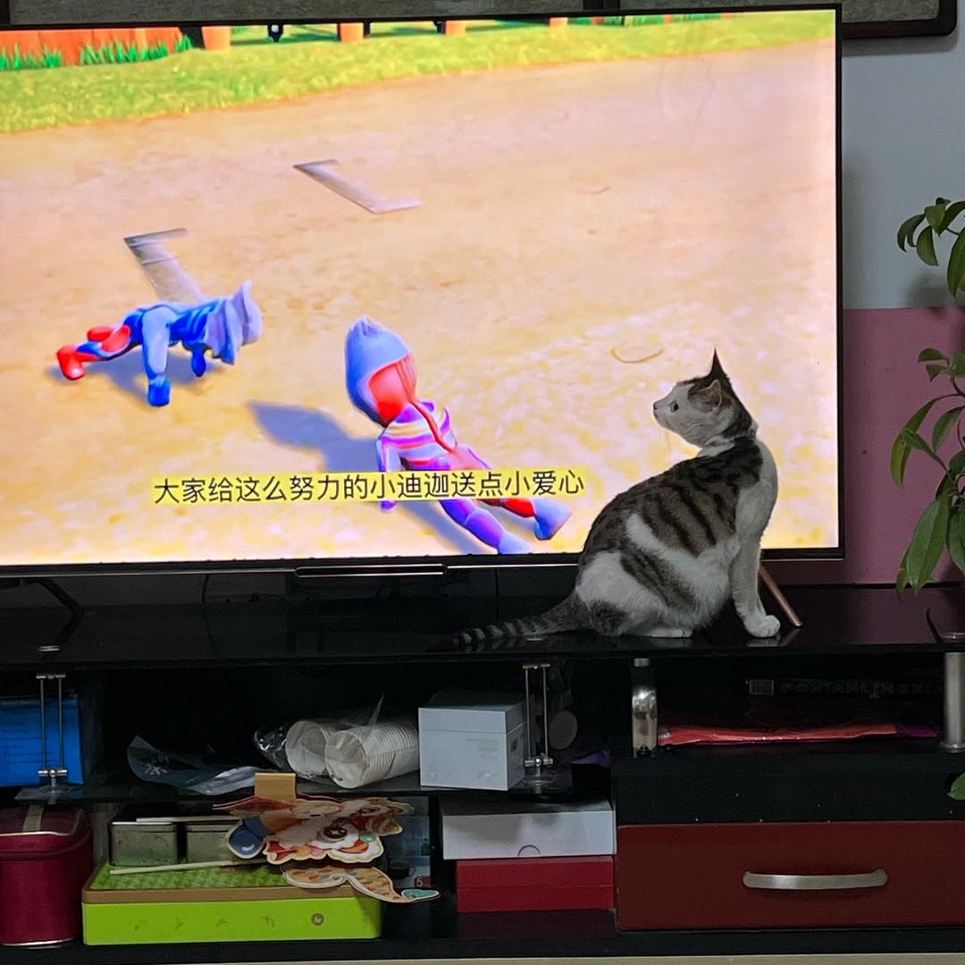 老岳钓鱼_