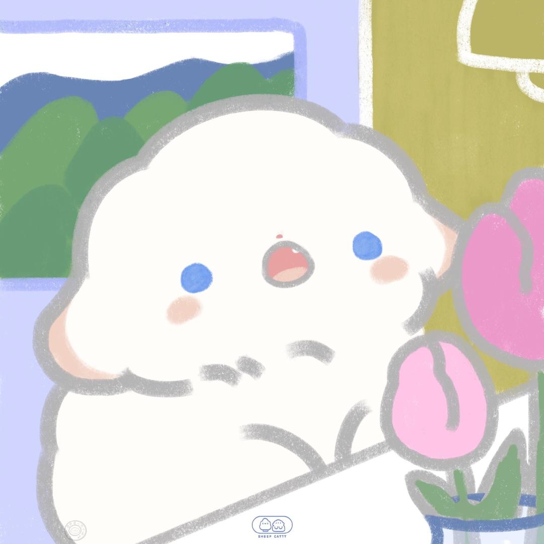小🐑在睡觉