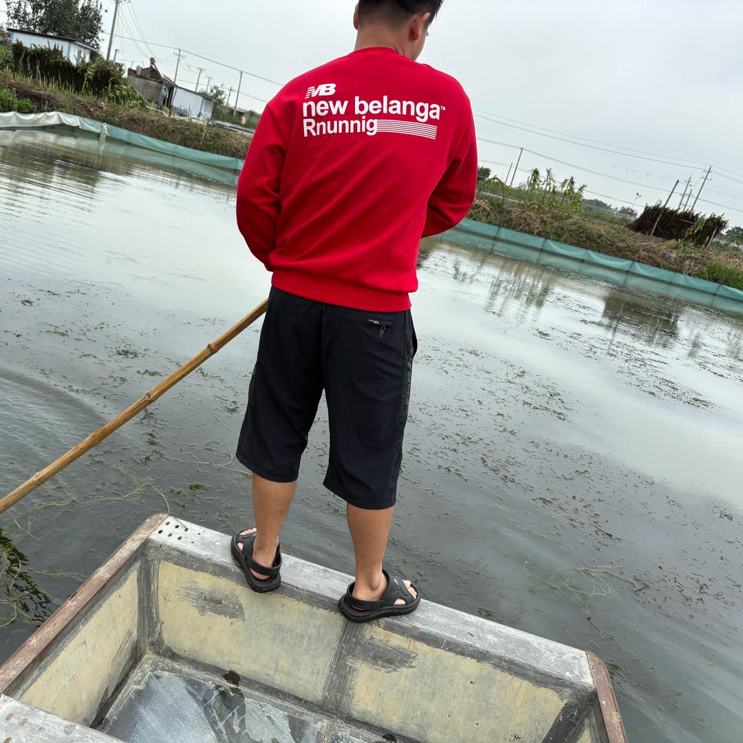 洪泽湖大闸蟹礼