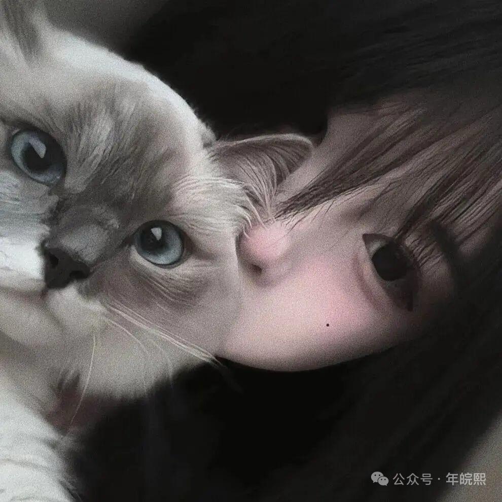 辣目日常