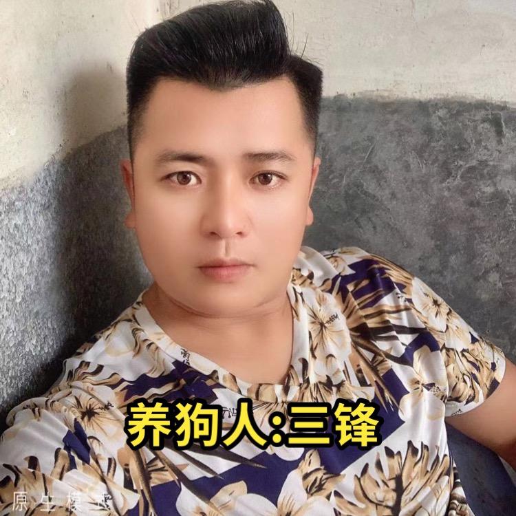 养狗人:三锋