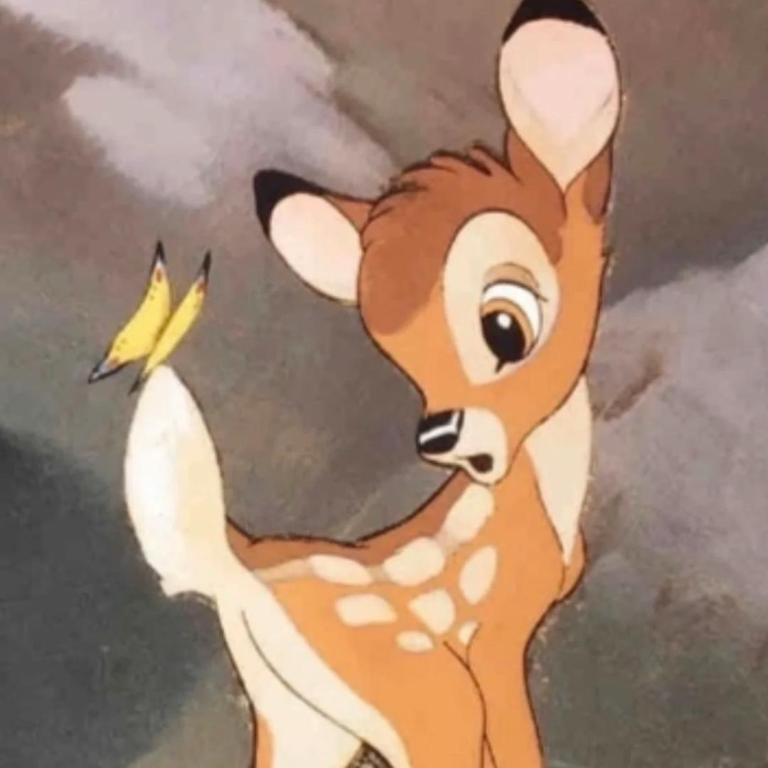 ¿  ˘ᜊ˘ ᶻᶻᶻ