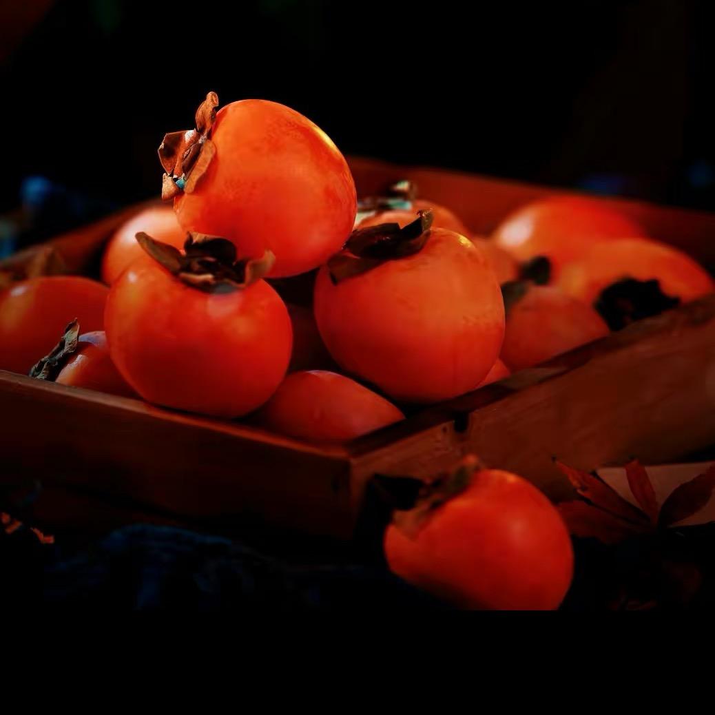 人生若是如初见