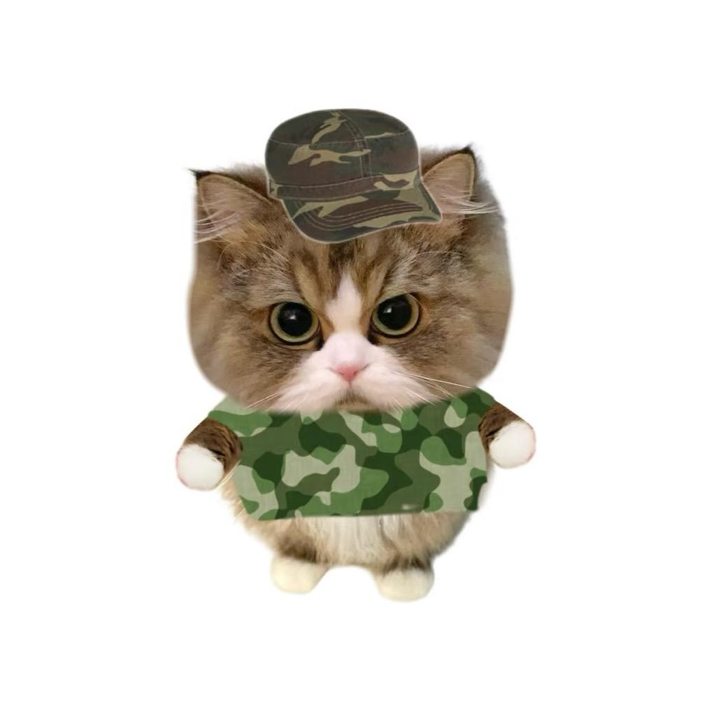 CHY