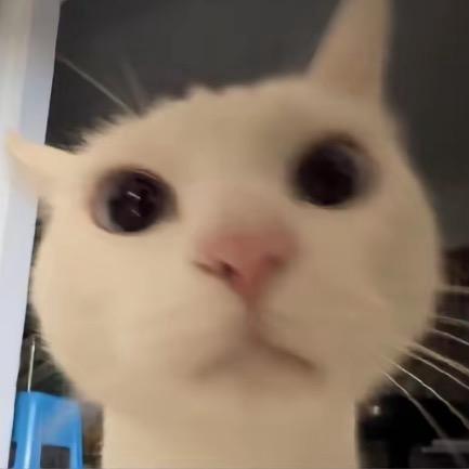 下周见
