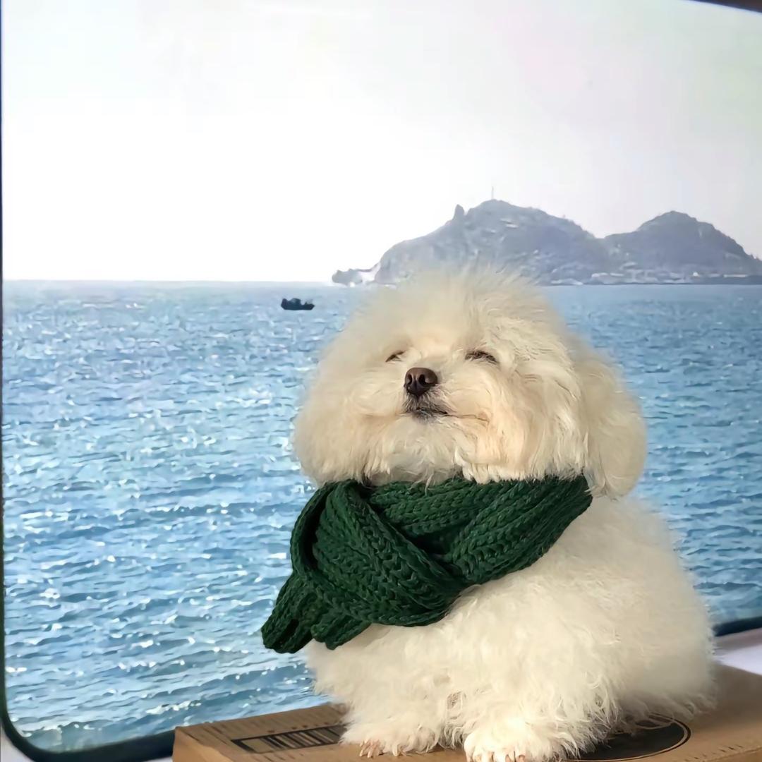 TuTu.