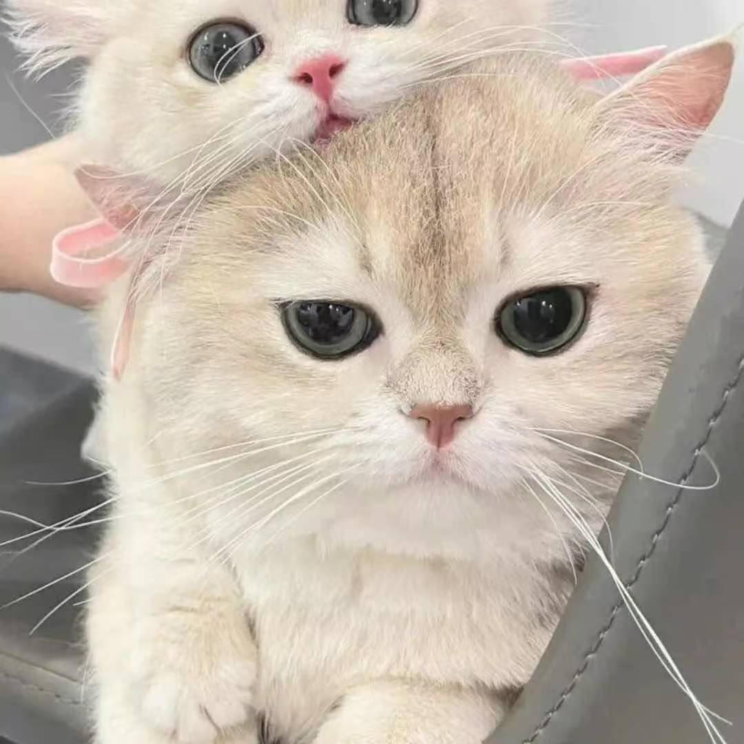小.