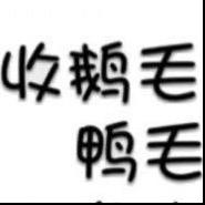 旺翔羽绒收鹅毛鸭毛
