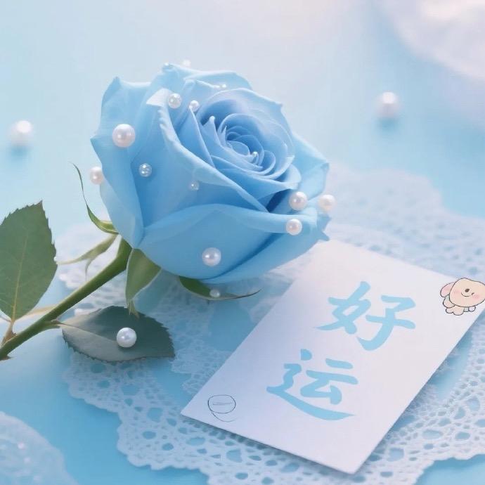 冉冉升起的小太阳