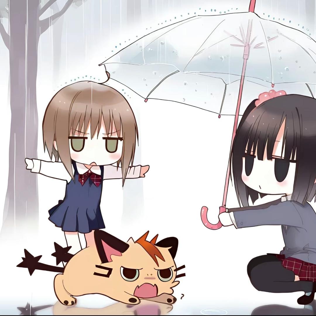 宅猫