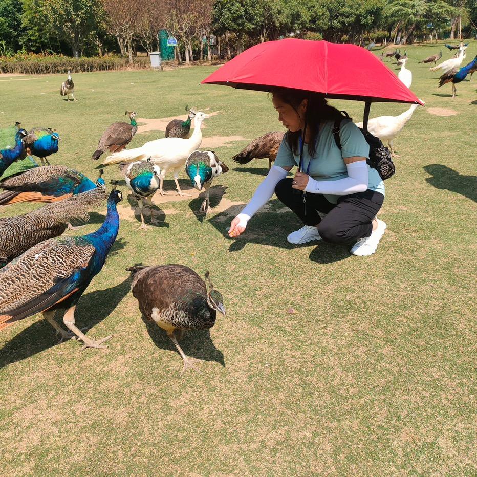 小青𡿨好物分享）拒绝私聊正在学直播
