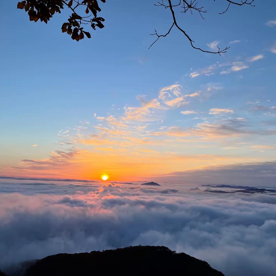 沈阳云看房