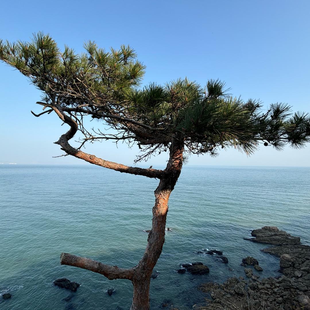 阿蛟