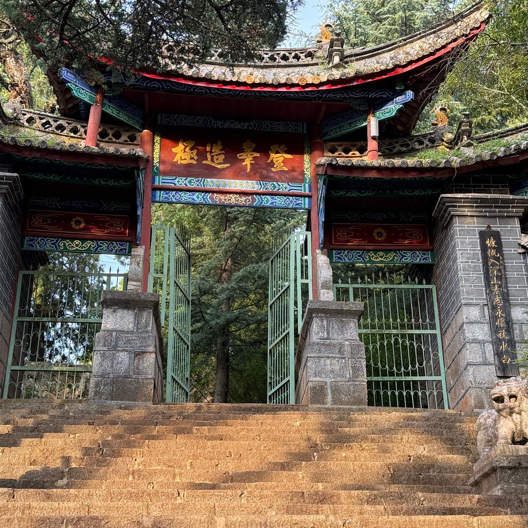落子无悔👍👍