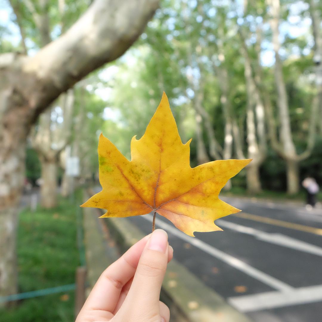 🔆笑敬过往🎀🔆
