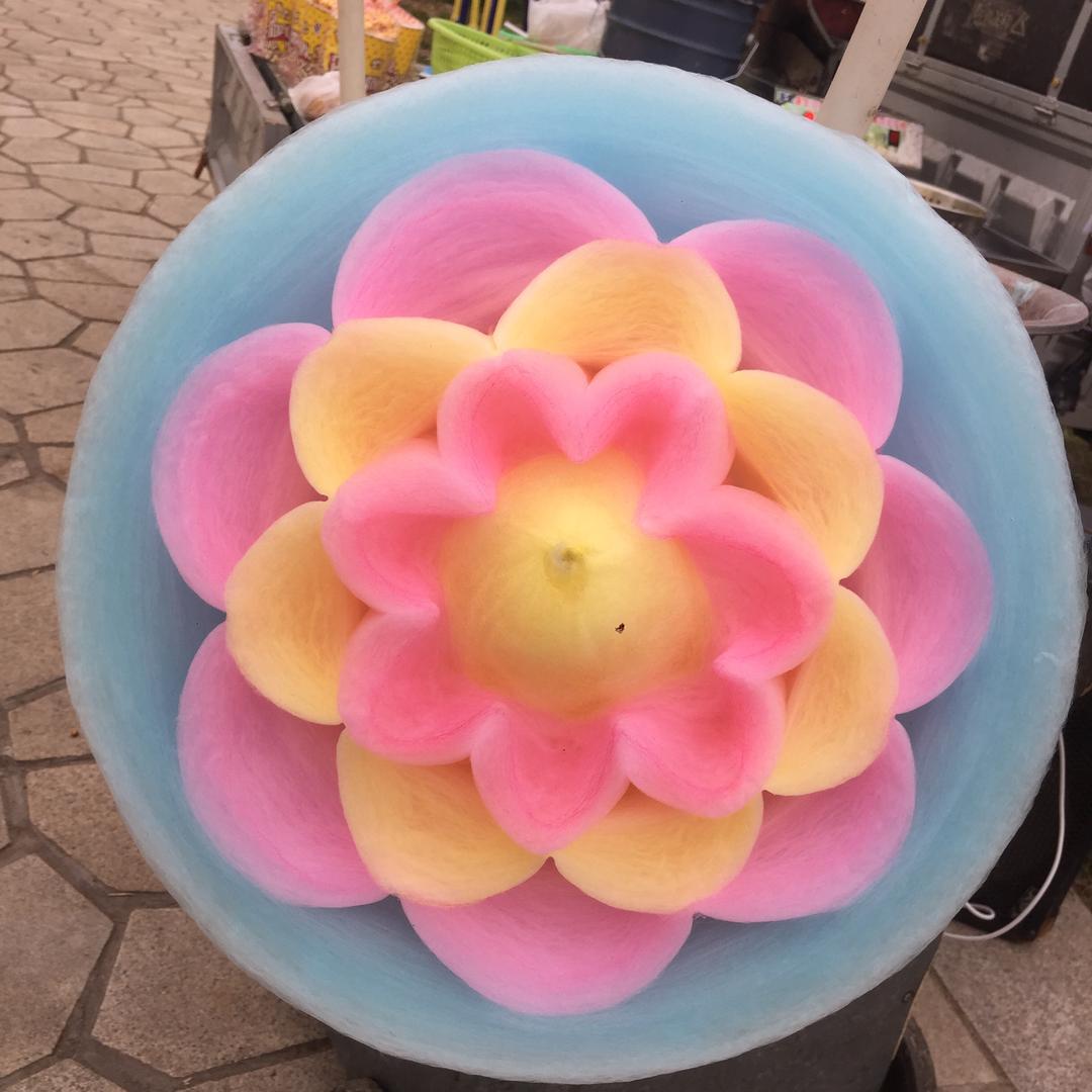 专业婚庆录像，跟拍