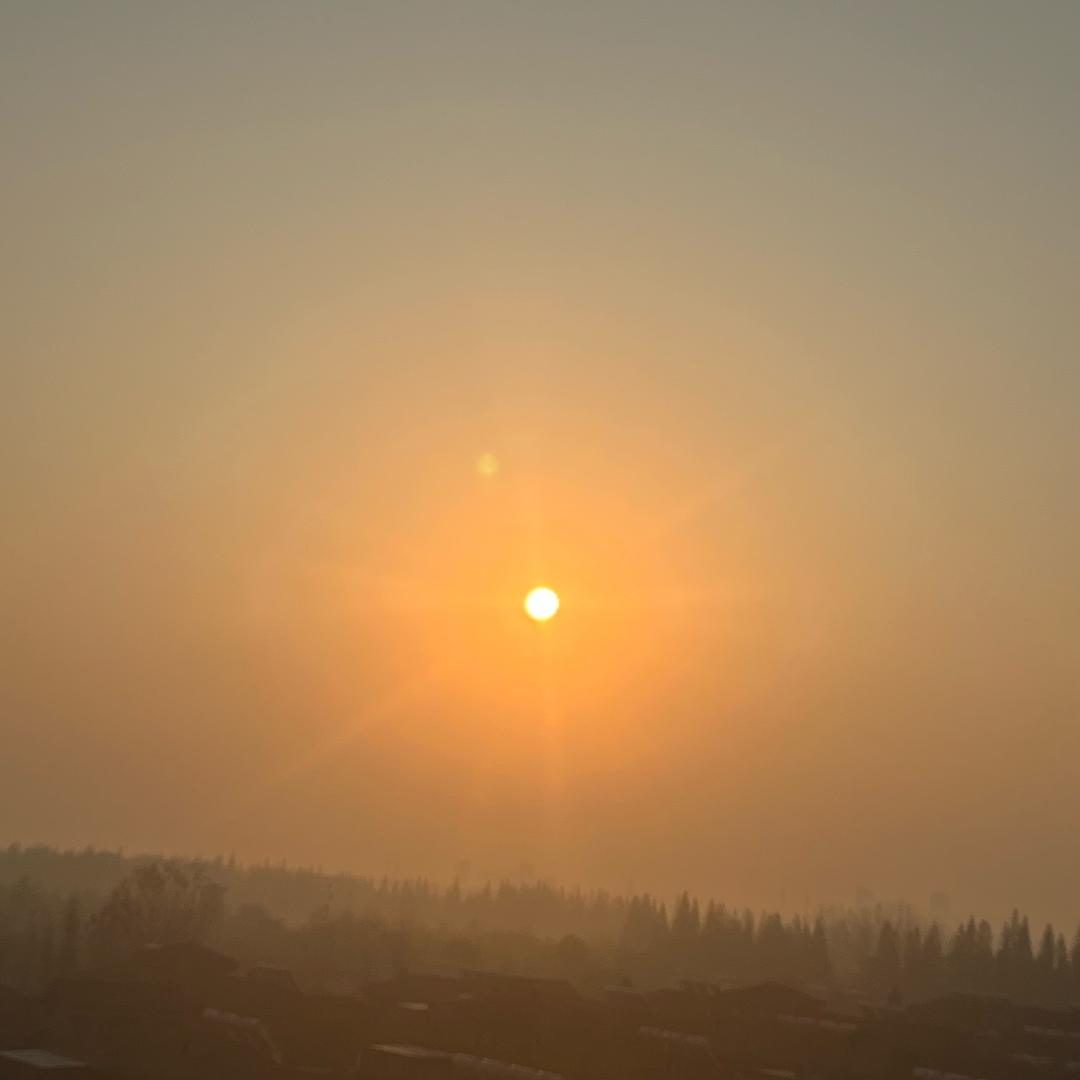 大飞哥