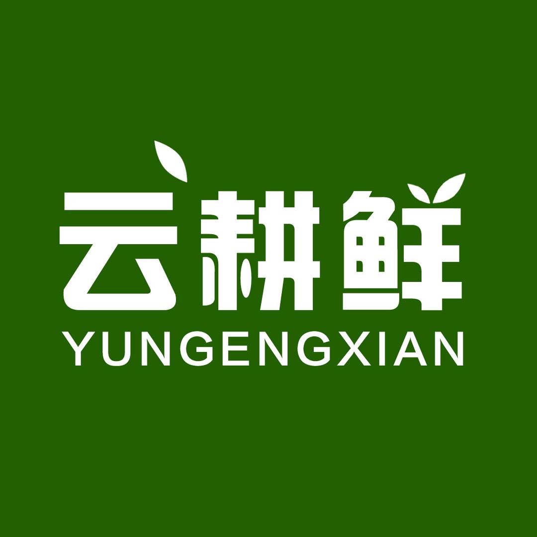 Yungengxian