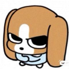 顿顿都有肉🍖🍗