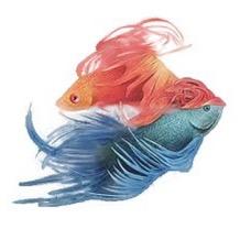 七秒钟水族馆