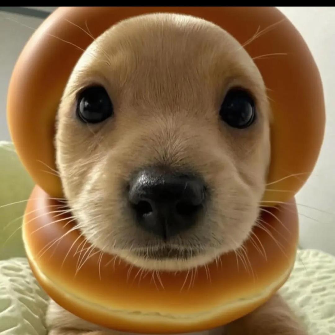 阿瓜