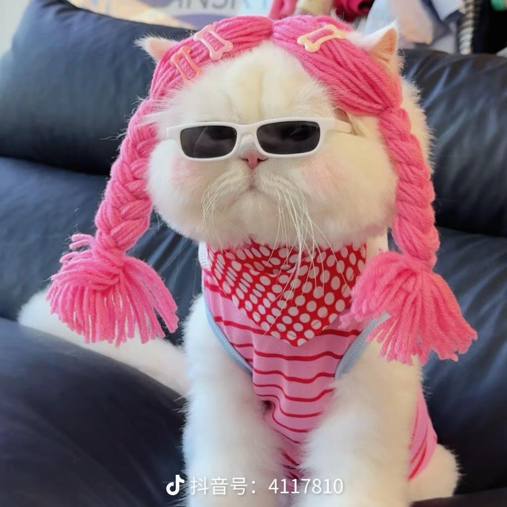 财神爷的小宝贝